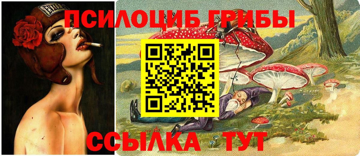 Псилоцибиновые грибы GOLDEN TEACHER  Псилоцибиновые грибы Psilocybine cubensis  Вход с VPN  Сергиев Посад 